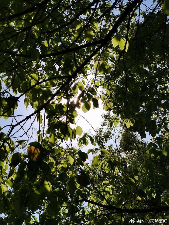 人保伴您前行,拥有“如意行”驾乘险，出行更顺畅！_2024年车厘子行业竞争格局与投资价值分析