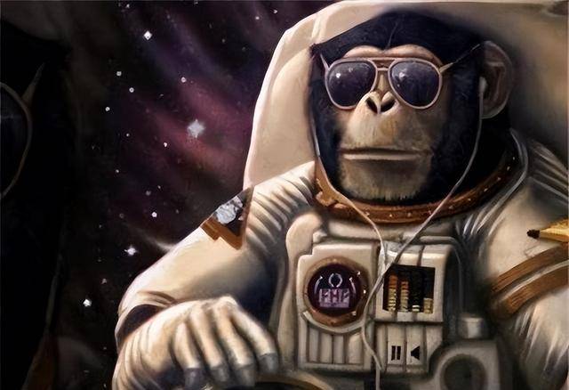 研究发现黑猩猩也会因观众在场而影响认知表现