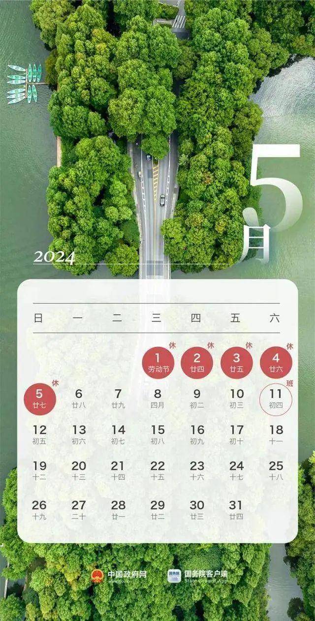 2024年11月25日松香价格行情今日报价查询