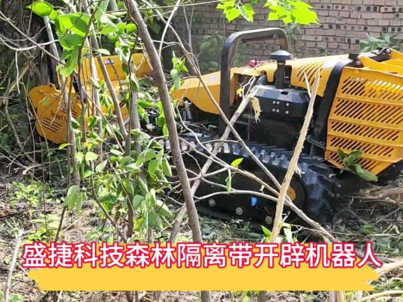 中坚科技获得实用新型专利授权：“一种定速巡航结构及割草车”