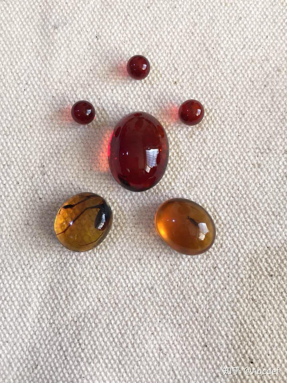 南极洲首次发现琥珀