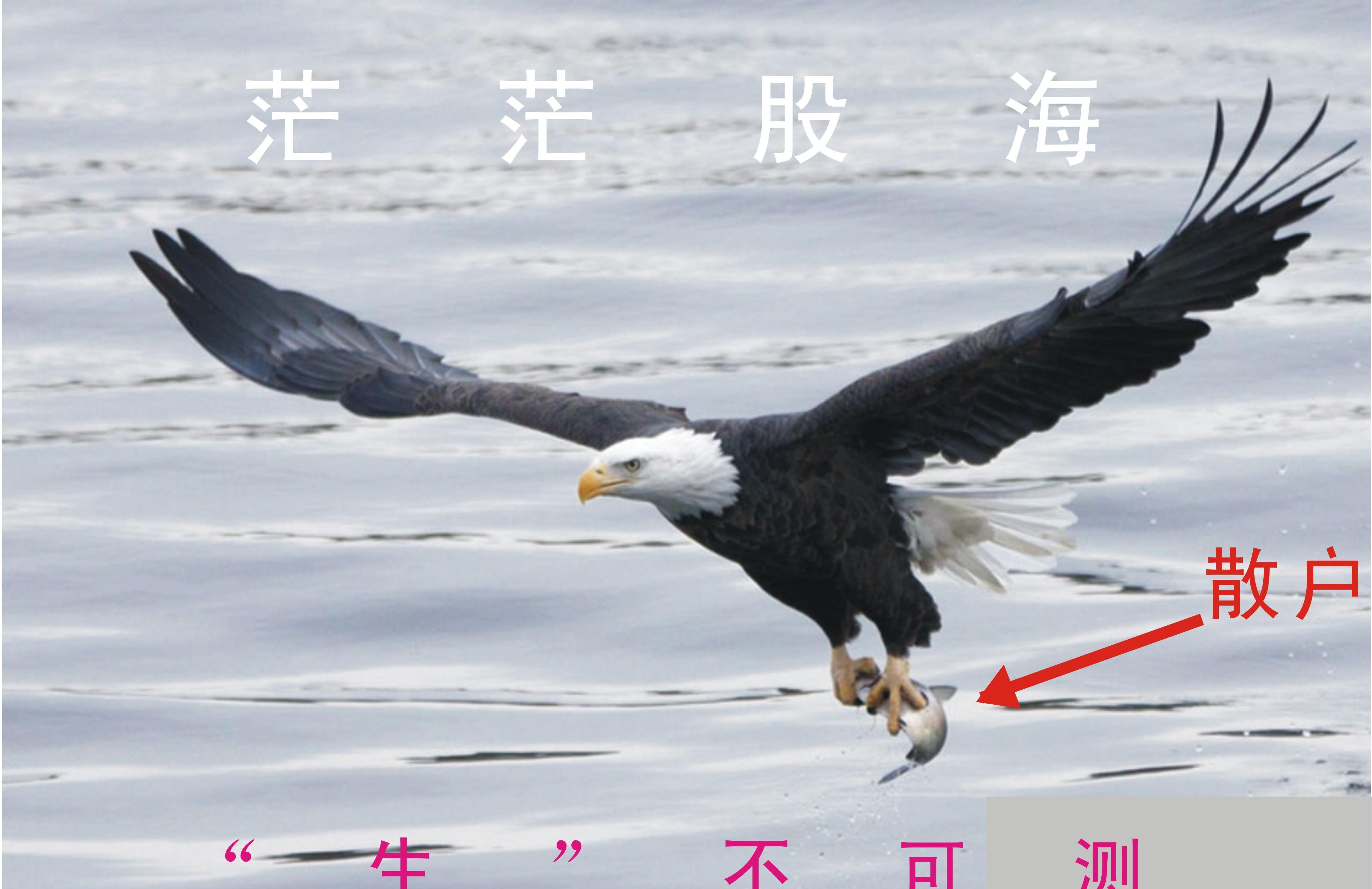 宝鹰股份最新筹码趋于集中