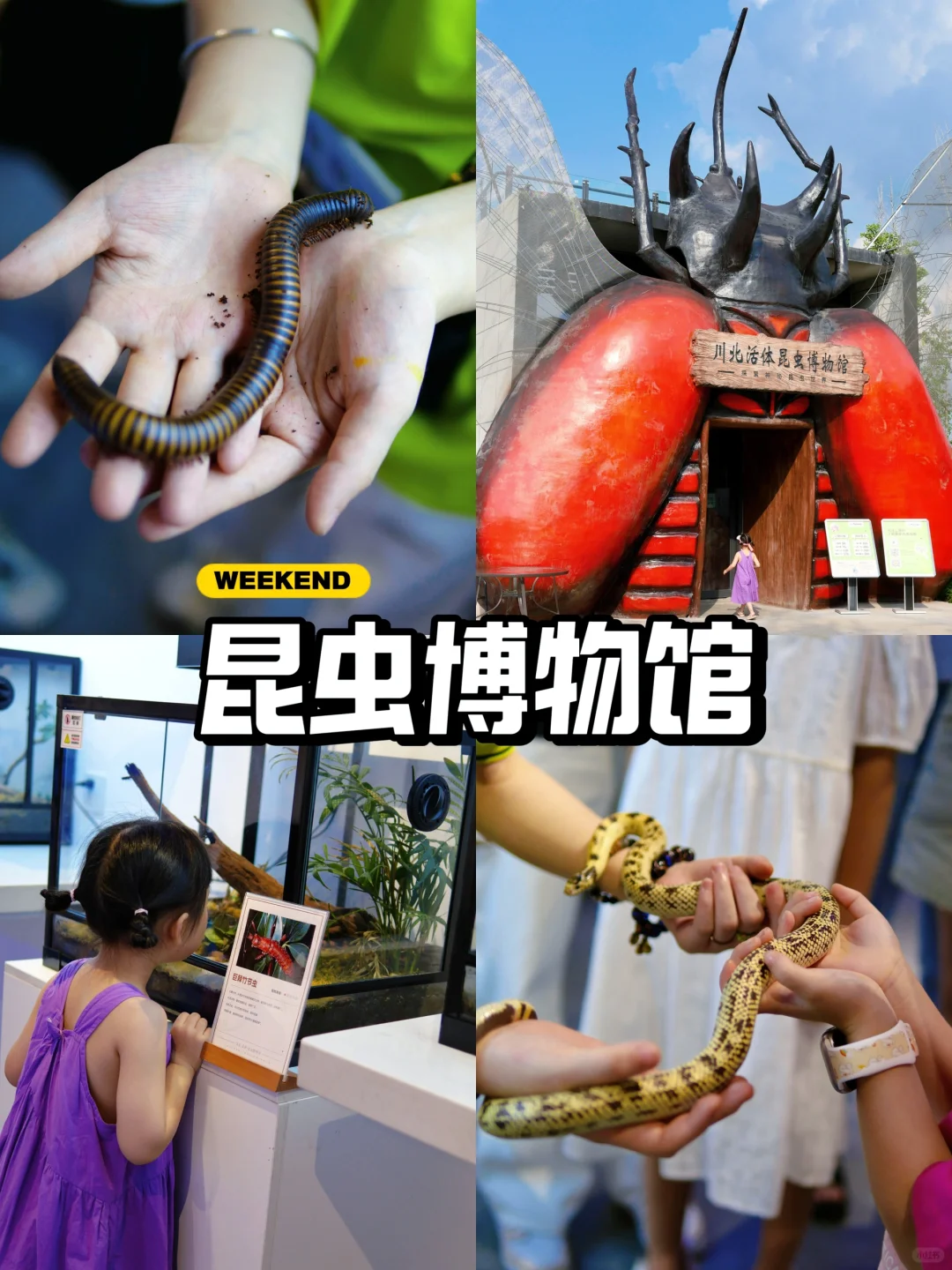 2025-06-10 14:00每经热榜