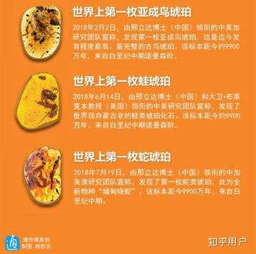 远古发现丨我国科学家领衔发现约1亿年前“僵尸昆虫”