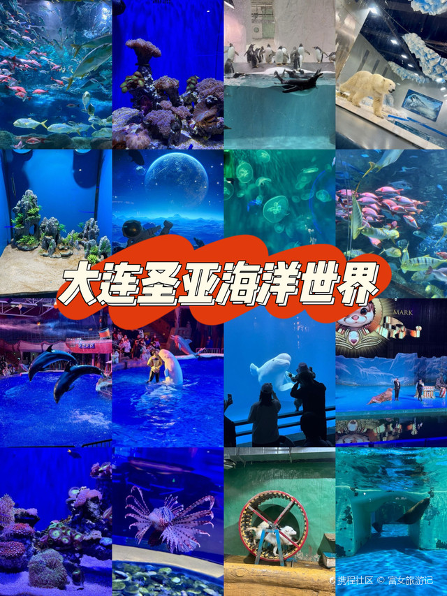 2025年海底隧道工程行业：基建升级与海洋经济融合_人保伴您前行,人保有温度