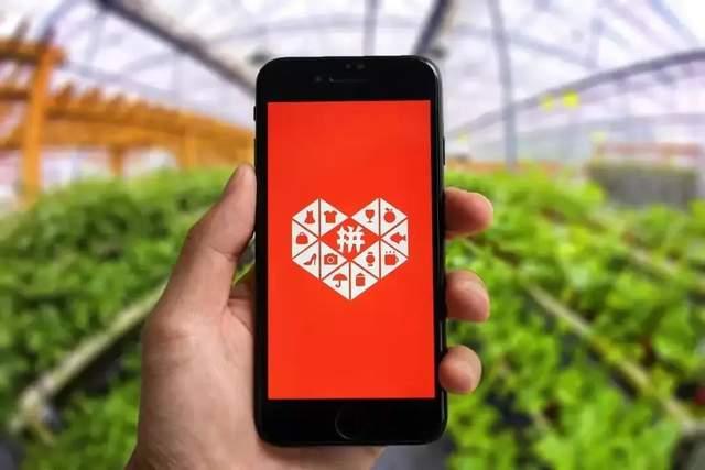 今创集团：预计2025年上半年净利润同比增长123.85%~157.77%