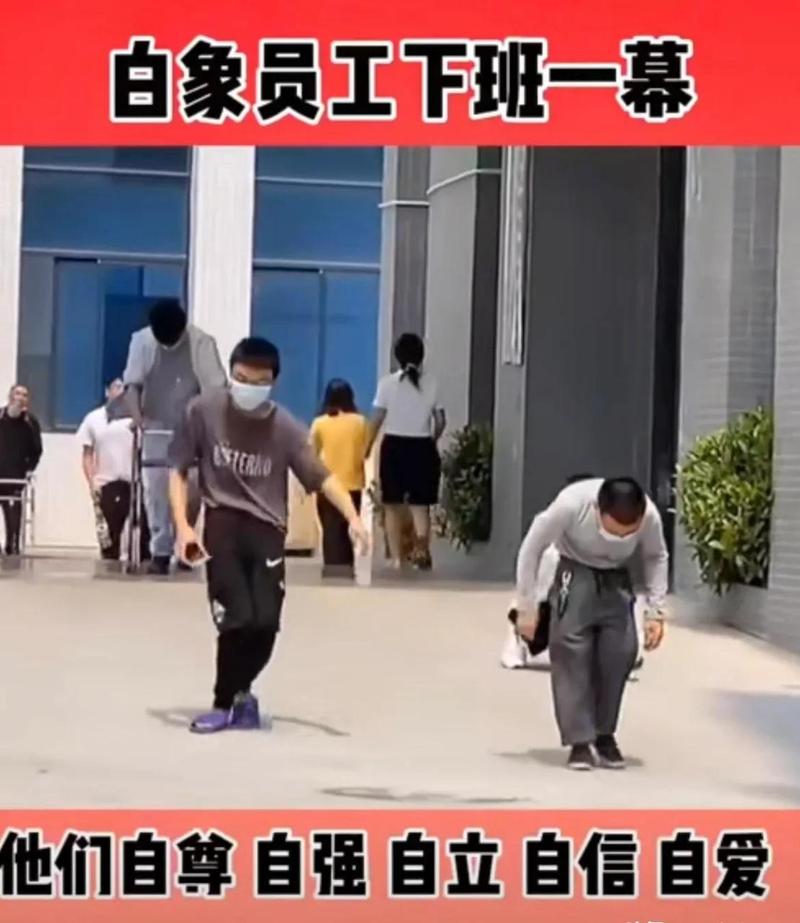厦门象屿成立粮谷供应链公司
