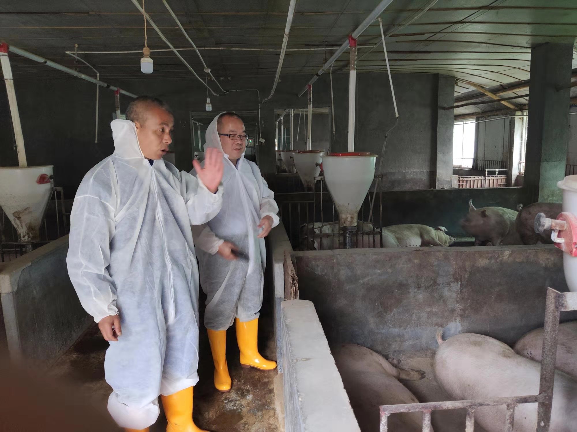 水产苗种培育行业现状与发展趋势分析_人保财险政银保 ,人保伴您前行