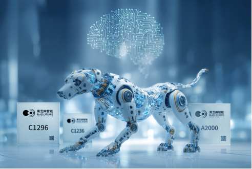 星宇股份与节卡股份签署战略合作协议 深化具身智能在汽车智造及机器人产业的融合创新