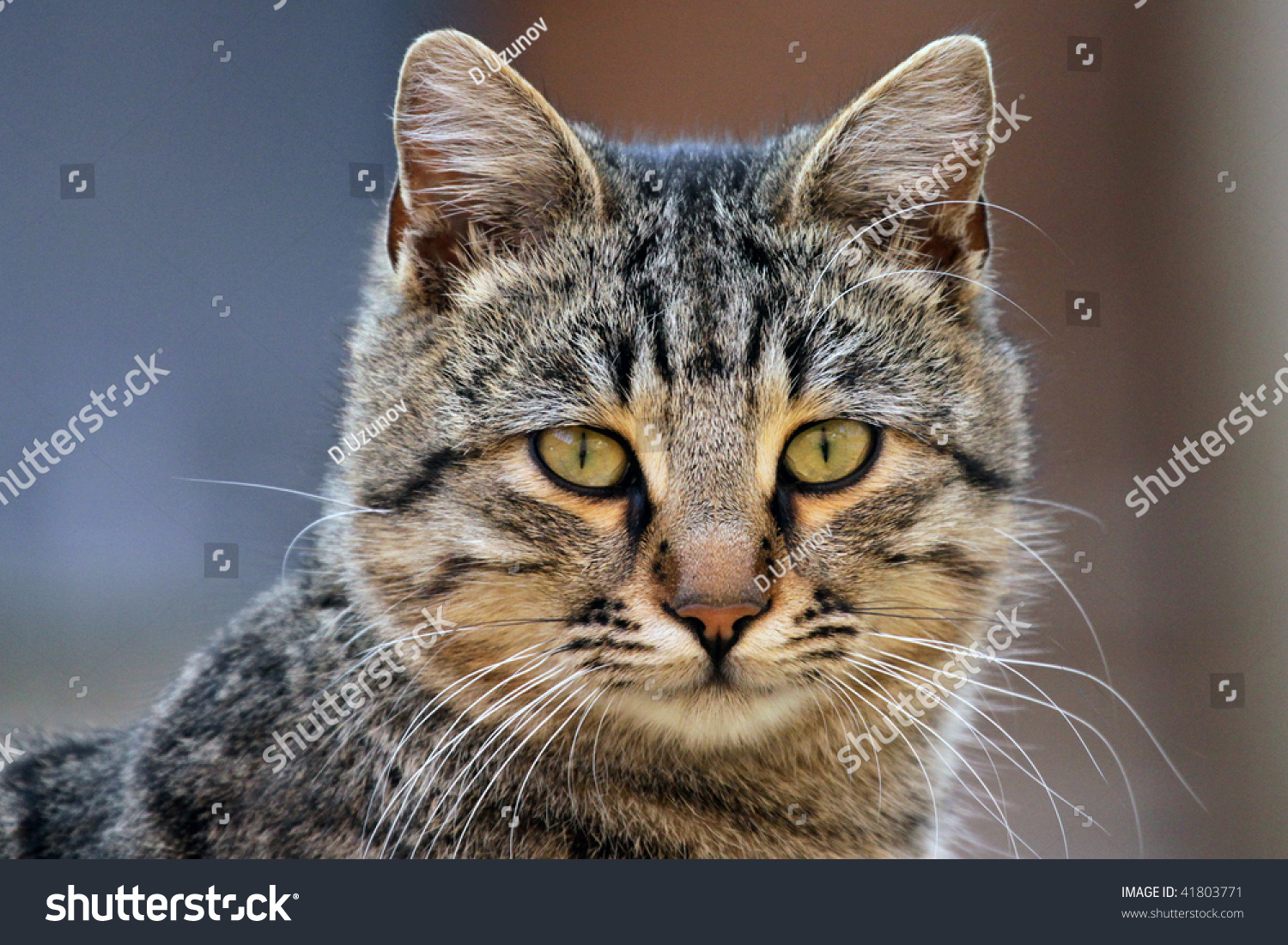 Catalent陷OAI风波拖累新药上市进程 药明康德以高标准严守质量“生命线”