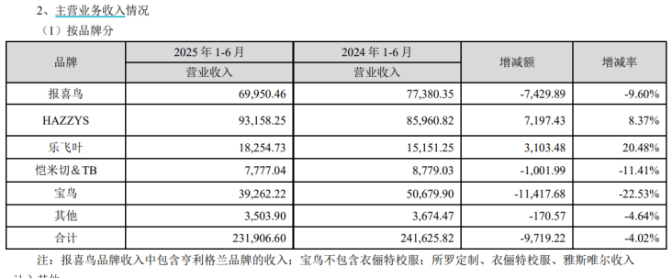 户外板块增长难救场，报喜鸟上半年业绩双降，主品牌表现乏力拖后腿
