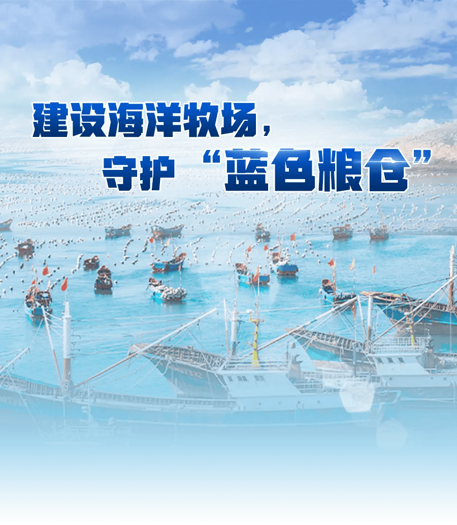 2025年水产养殖行业发展现状、竞争格局及未来发展趋势分析_人保服务,人保护你周全