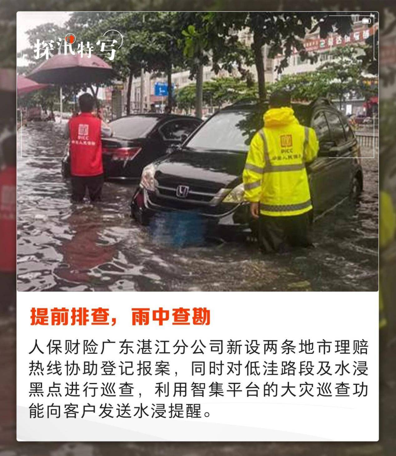 2025花胶行业市场发展现状及供需格局分析_人保车险,人保护你周全