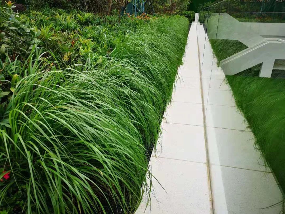 核筑匠心 绿满沽源——沽源铀业绘就绿色矿山高质量发展新画卷