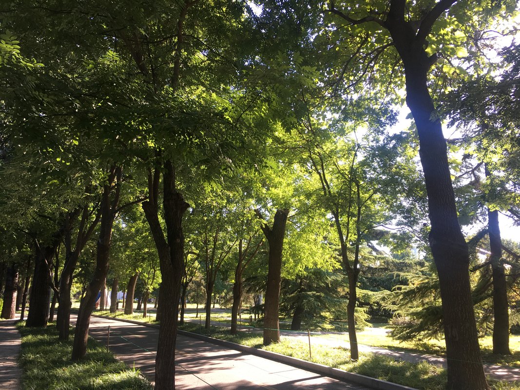 中国光大绿色环保：完成发行2026年度第一期绿色中期票据