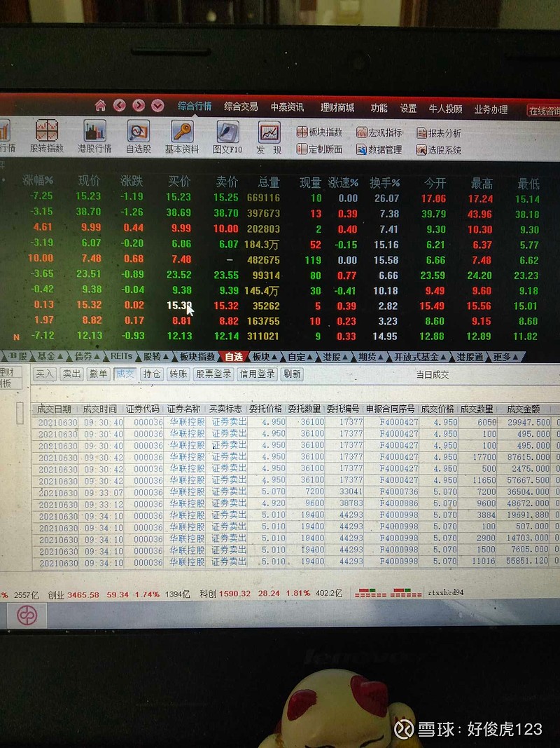 哈森股份（603958）2026年一季报简析：营收净利润同比双双增长