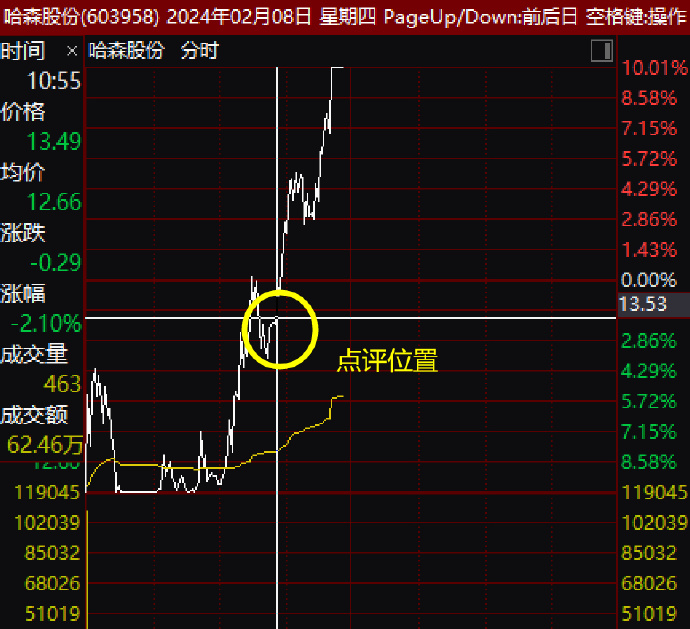 哈森股份（603958）2026年一季报简析：营收净利润同比双双增长