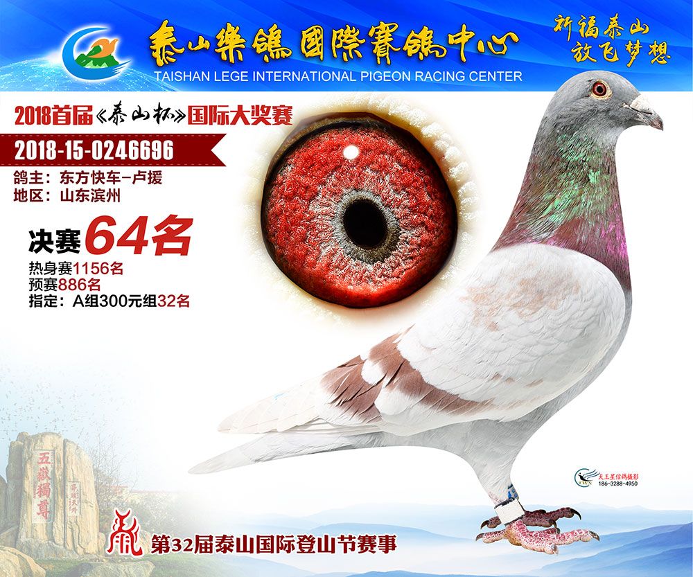 2026-05-01 12:00每经热榜