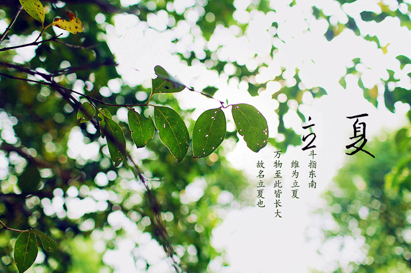 5日19时49分立夏，这个时间是如何确定的？