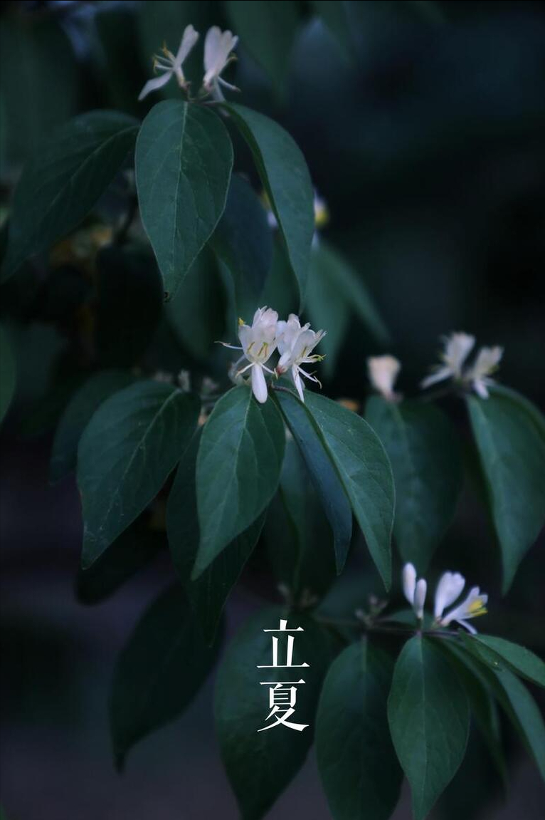 5日19时49分立夏，这个时间是如何确定的？