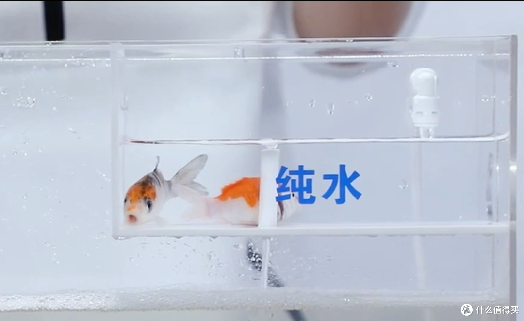 安吉尔集团助理总裁陆振华：AI重构净水行业底层逻辑，以有温度的技术赋能美好生活