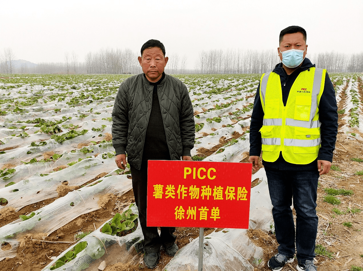 2026年全球厨房设备行业：告别“油烟战场”，迎接“零碳客厅”_人保服务,人保财险 