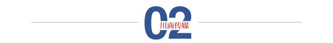 国资入主后首度“换帅”！炼石航空董事长熊辉然提前辞职，代董事长王虎履历亮眼