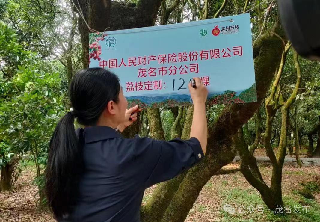 2026荔枝行业市场深度调研及未来趋势预测_人保服务 ,人保服务