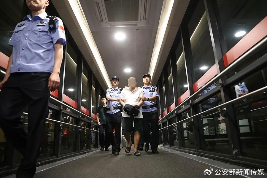【e公司观察】公安部公布20起经济犯罪案例,“零容忍”筑牢经济安全防线