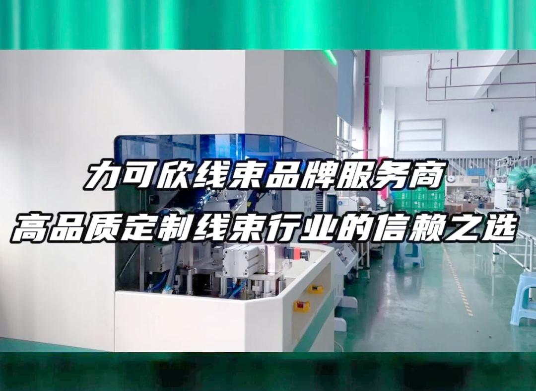 汽车线束行业现状与发展趋势分析(2026年)_人保车险 品牌优势——快速了解燃油汽车车险,人保服务