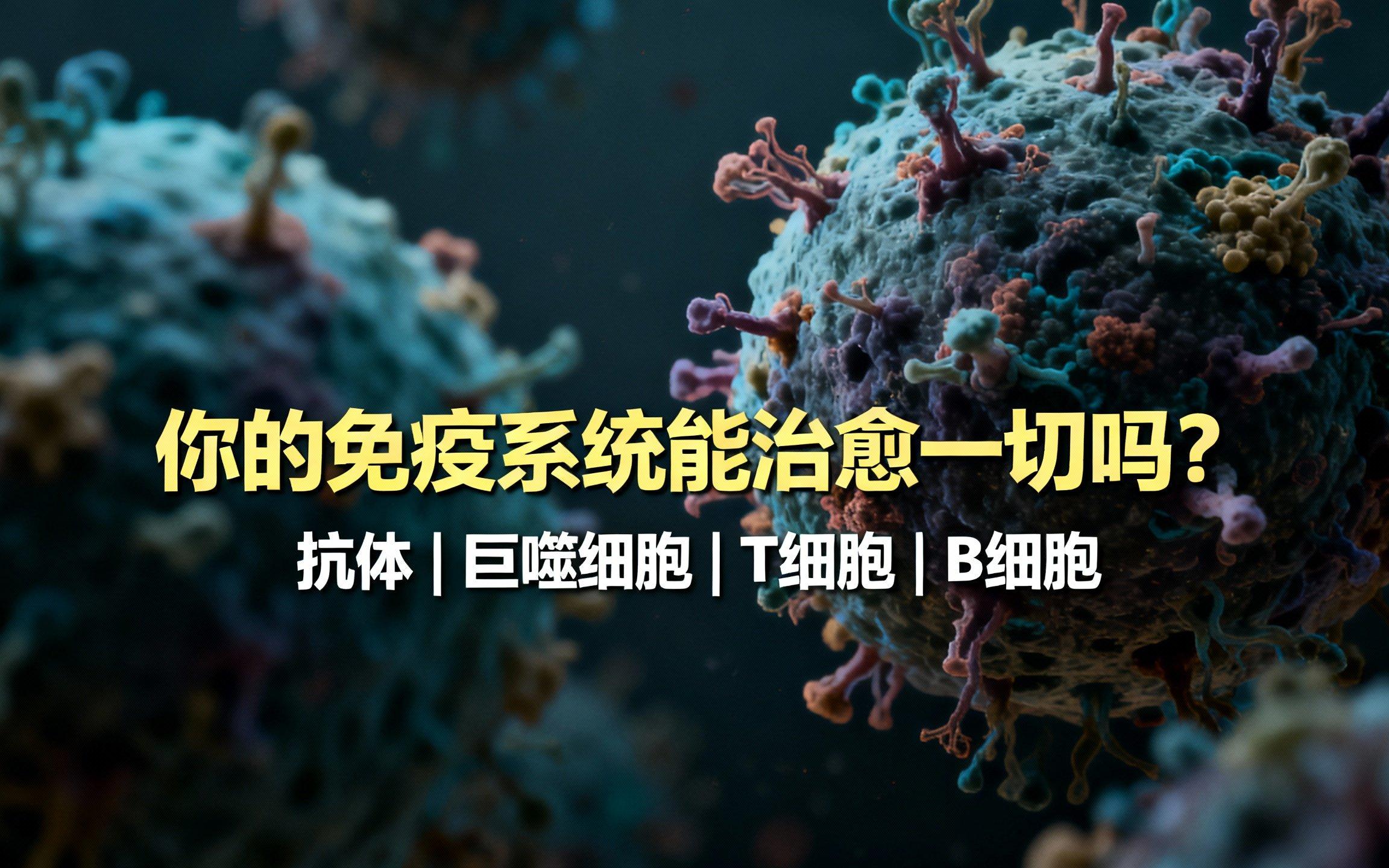 哈工大科研团队发现T细胞激活抗癌新机制
