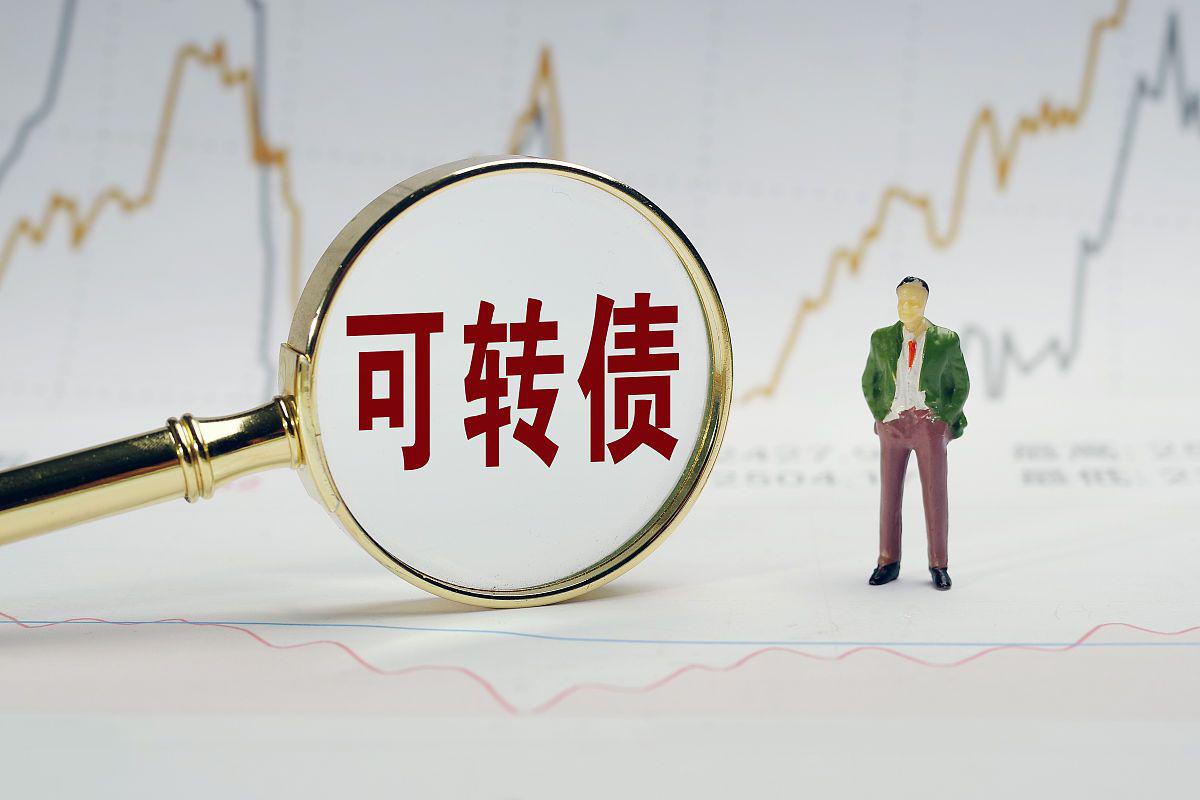 中鼎股份:公司可转债相关工作正有序推进
