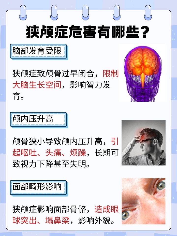 “前额叶受损”，到底是啥？